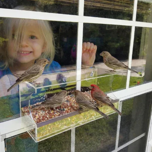Window Bird Feeder with Strong Suction Cups and Seed Tray
