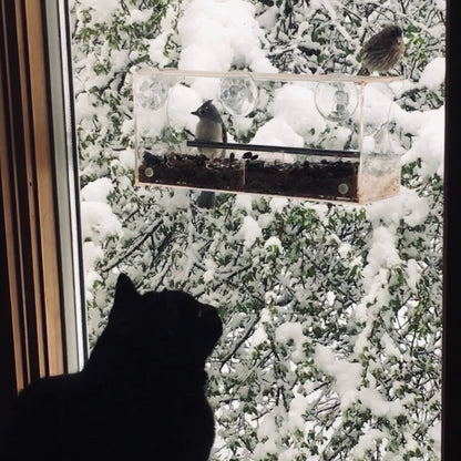 Window Bird Feeder with Strong Suction Cups and Seed Tray