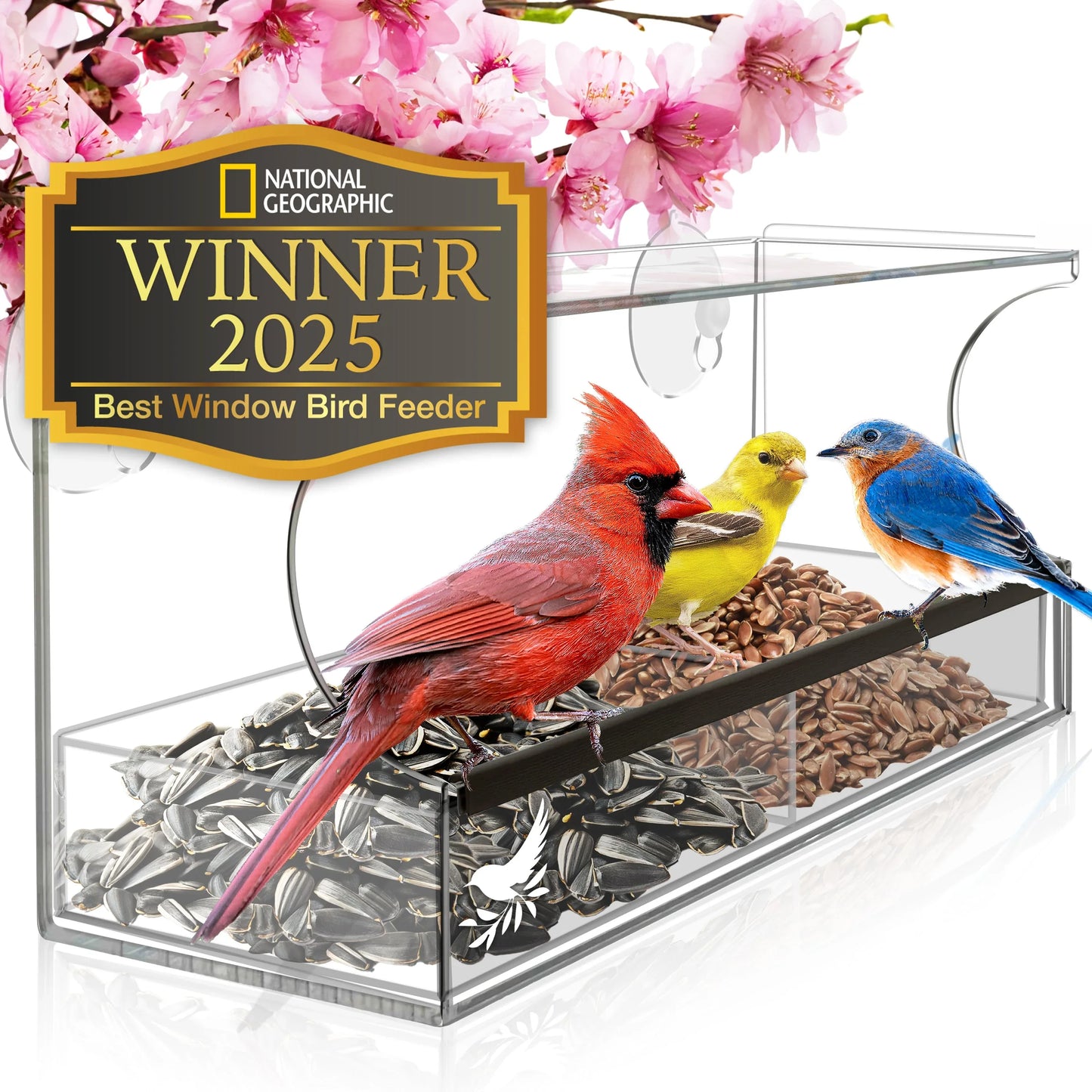 Window Bird Feeder with Strong Suction Cups and Seed Tray