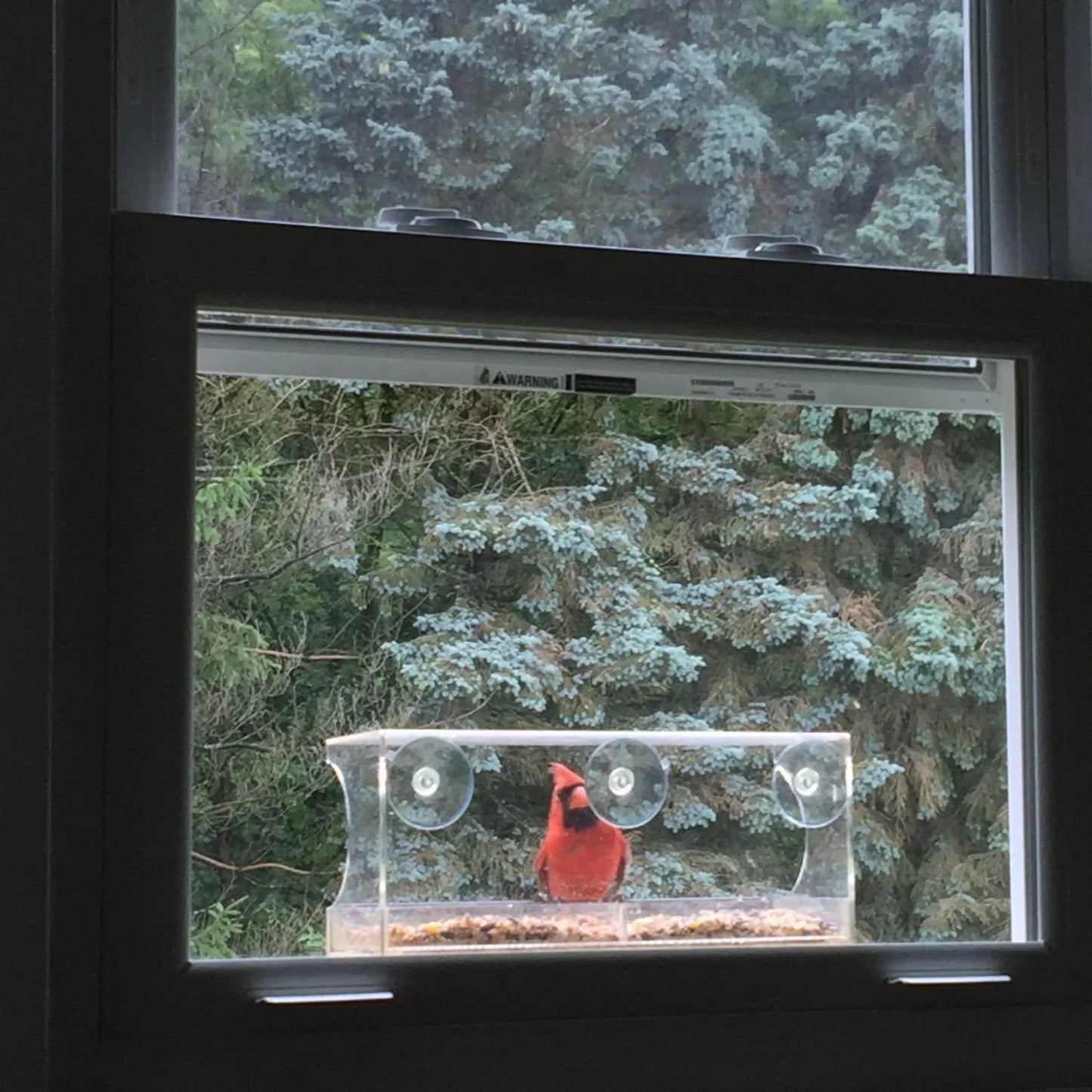 Window Bird Feeder with Strong Suction Cups and Seed Tray
