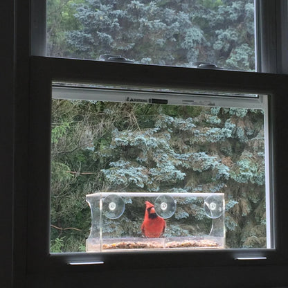 Window Bird Feeder with Strong Suction Cups and Seed Tray