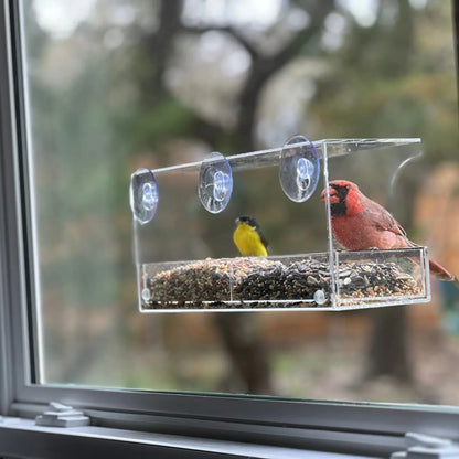 Window Bird Feeder with Strong Suction Cups and Seed Tray