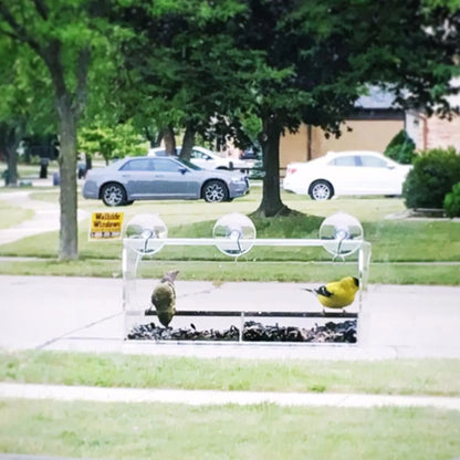 Window Bird Feeder with Strong Suction Cups and Seed Tray