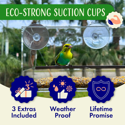 Window Bird Feeder with Strong Suction Cups and Seed Tray