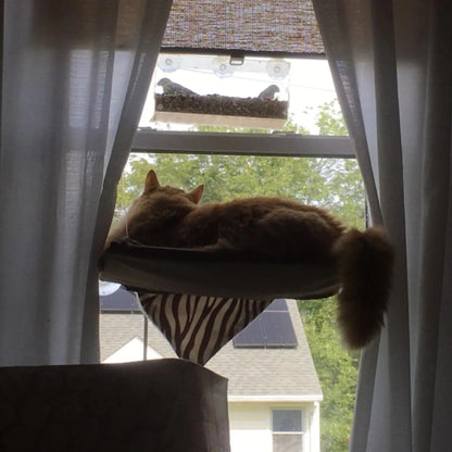 Window Bird Feeder with Strong Suction Cups and Seed Tray