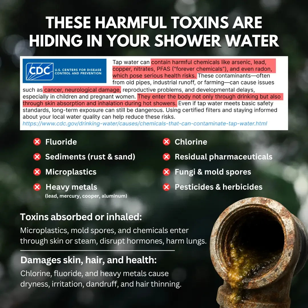 Clyinc Filtered Showerhead